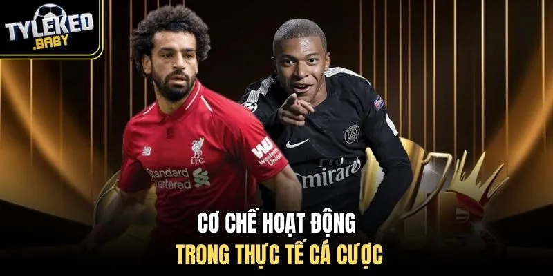 Cơ chế hoạt động trong thực tế cá cược