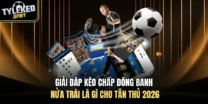 kèo chấp đồng banh nửa trái là gì