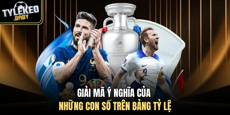 Giải mã ý nghĩa của những con số trên bảng tỷ lệ