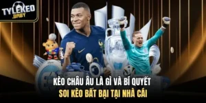 kèo châu âu là gì