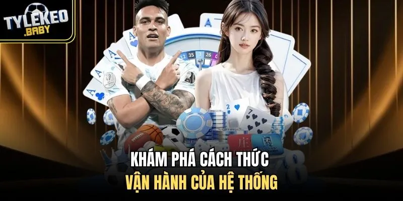 Khám phá cách thức vận hành của hệ thống