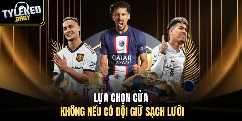 Lựa chọn cửa Không nếu có đội giữ sạch lưới