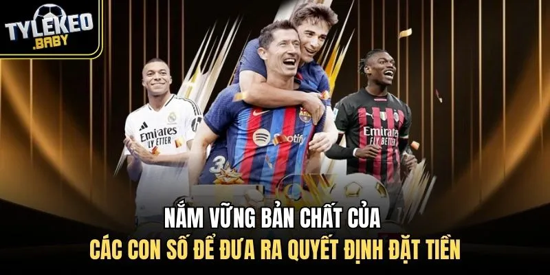 Nắm vững bản chất của các con số để đưa ra quyết định đặt tiền