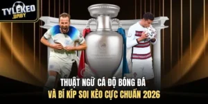 thuật ngữ cá độ bóng đá