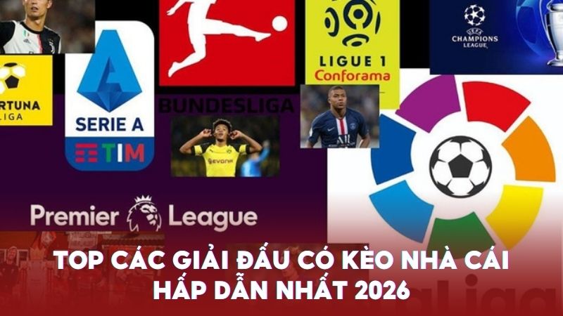 Tỷ lệ kèo nhà cái cập nhật bảng kèo của tất cả các giải đấu năm 2026